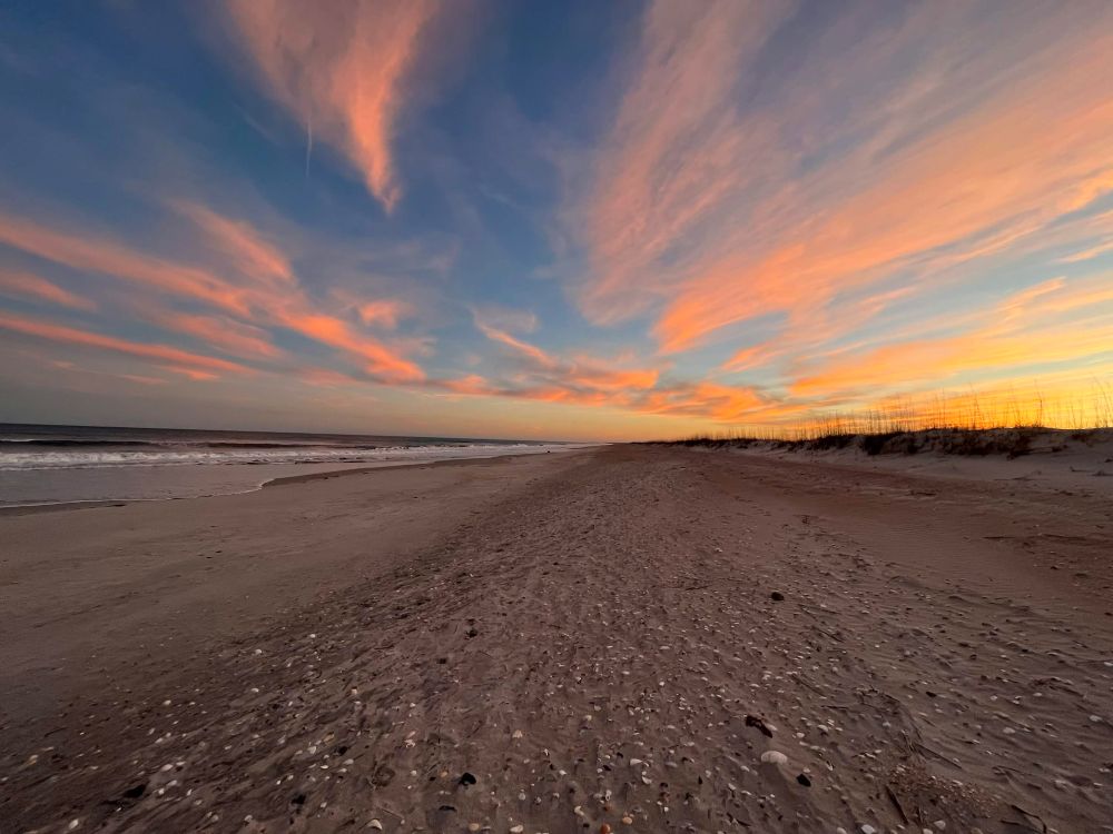 Masonboro community